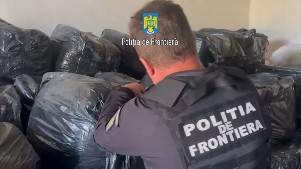 (VIDEO) Patru tone de tutun vrac ascuns după cutii cu ardei capia