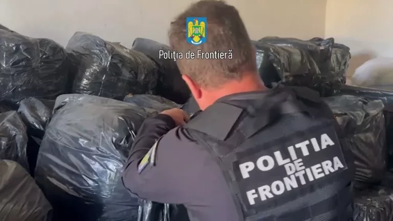 (VIDEO) Patru tone de tutun vrac ascuns după cutii cu ardei capia