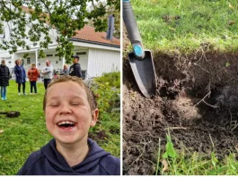 Familia Aasvik a descoperit două artefacte din epoca vikingă în timp ce folosea un detector de metale pentru a căuta un cercel de aur pierdut în curtea casei