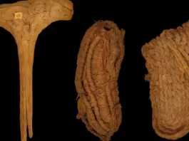 Cel mai vechi pantof din Europa, găsit într-o peșteră de lilieci din Spania