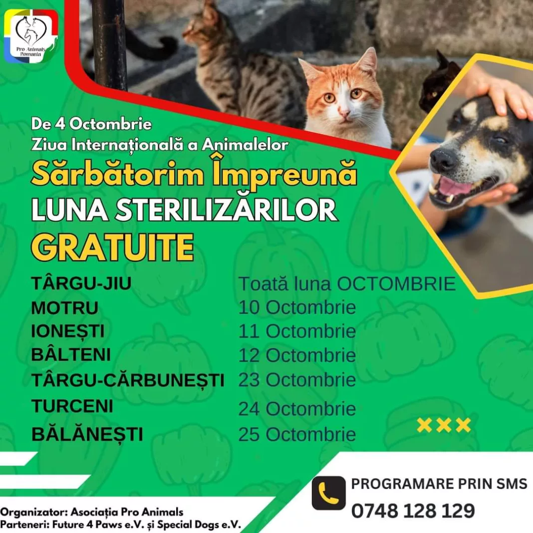 Gorj: Sterilizări gratuite de animale în șapte localități