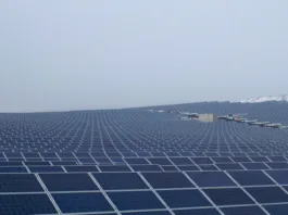 Investitorii pentru parcul fotovoltaic sunt din București, Dolj și Gorj