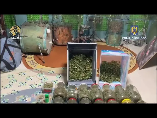 (VIDEO) Arestat preventiv pentru trafic de droguri