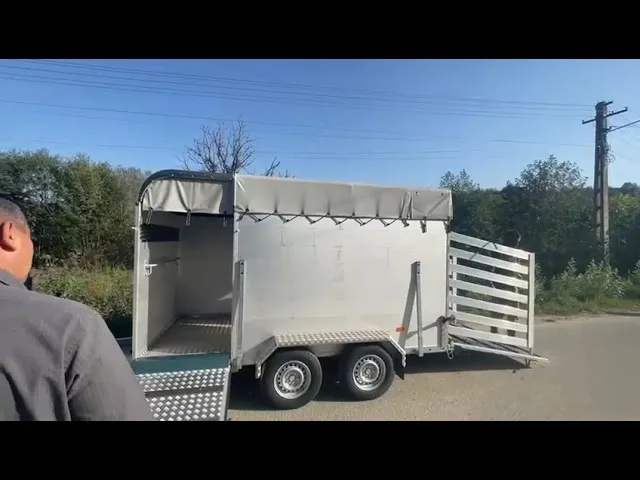 (VIDEO) Gorj: Un cal subnutrit și altul cu un picior rupt, salvați de autorități