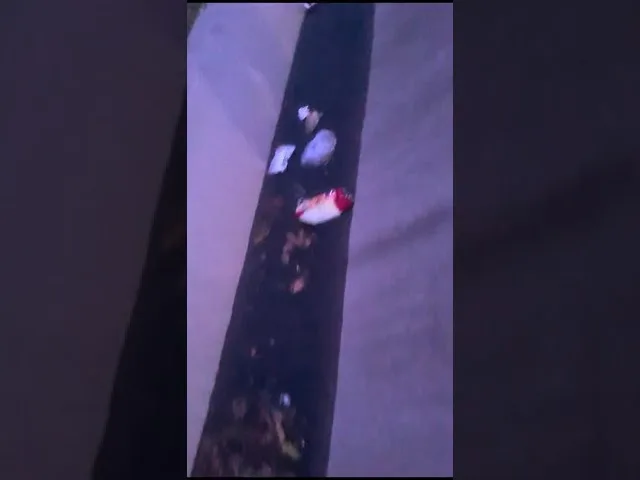 Gorj: Apă cu dejecții la 200 de metri de sediul Primăriei Albeni