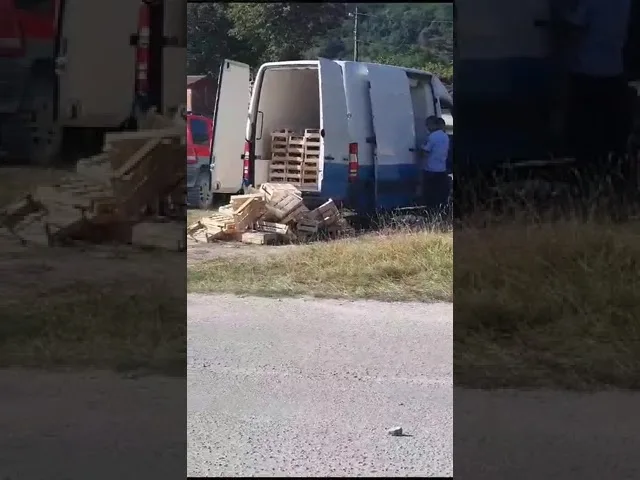 Gorj: Polițiștii au confiscat 136 de kilograme de ciuperci recoltate ilegal din păduri