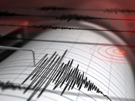 Cutremur cu magnitudinea de 4,2 grade pe scara Richter în județul Buzău