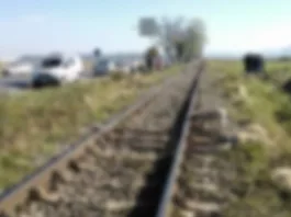O turmă cu aproximativ 100 de oi a fost lovită de tren