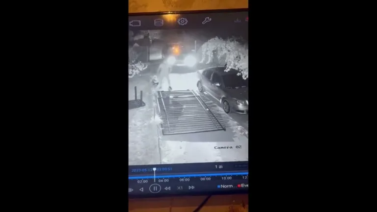 Atacaţi în propria gospodărie, în comuna Malu Mare