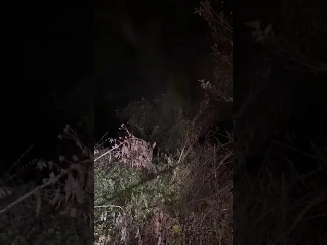 (VIDEO) Jandarmii și polițiștii au recuperat trei bărbați rătăciți la pescuit pe Jiu