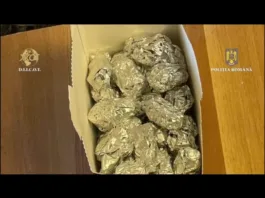 Pe parcursul cercetărilor, au fost confiscate 17,6 kilograme de canabis, 1,3 kilograme de rezină de canabis (hașiș) și peste 20 de grame de noi substanțe psihoactive