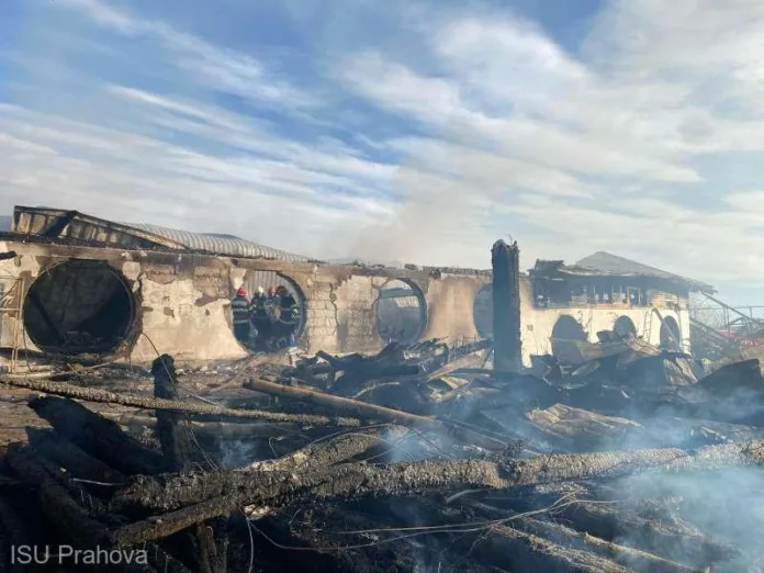 incendiu ferma dacilor