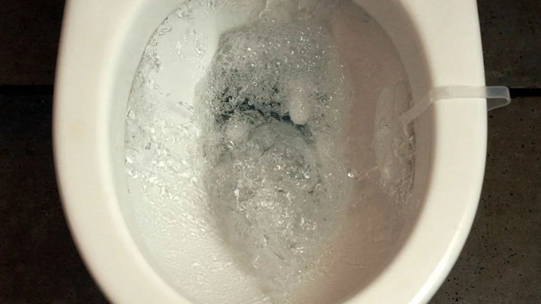 scaun wc O braziliancă i-a tăiat soţului penisul şi l-a aruncat în toaletă