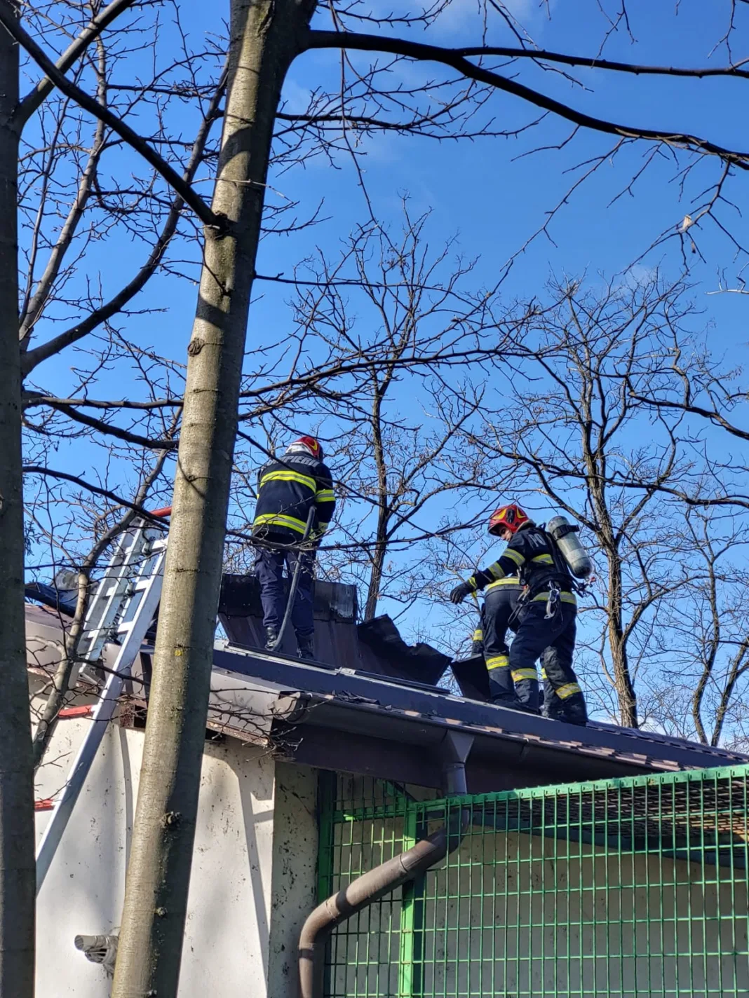 Pompierii intervin acum la incendiul din interiorul Grădinii Zoologice Râmnicu Vâlcea