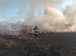 Cauza incendiilor de vegetație urmează să fie stabilită în urma investigațiilor