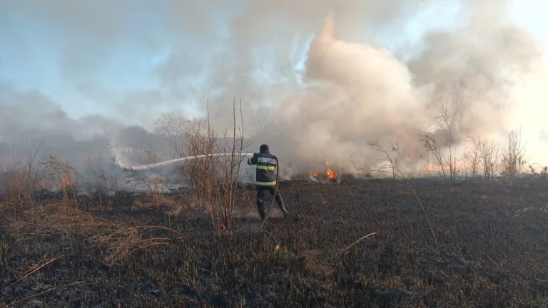 Dolj: Intervenție rapidă a pompierilor pentru Stingerea a două incendii de vegetație