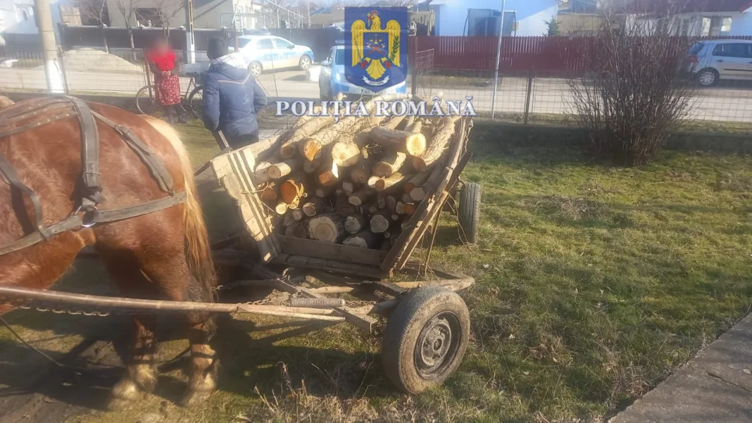 Olt: Doi tineri, prinși de poliţişti cu două căruțe cu lemne