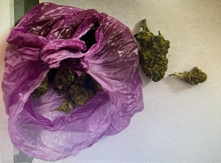 Doi craioveni, în arest după ce au vândut droguri mai multor minori