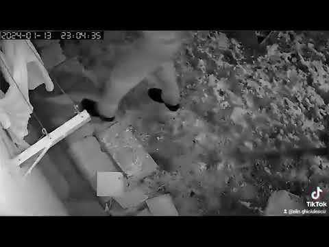 (VIDEO) Un mehedinţean a furat sarmalele vecinei de la parter