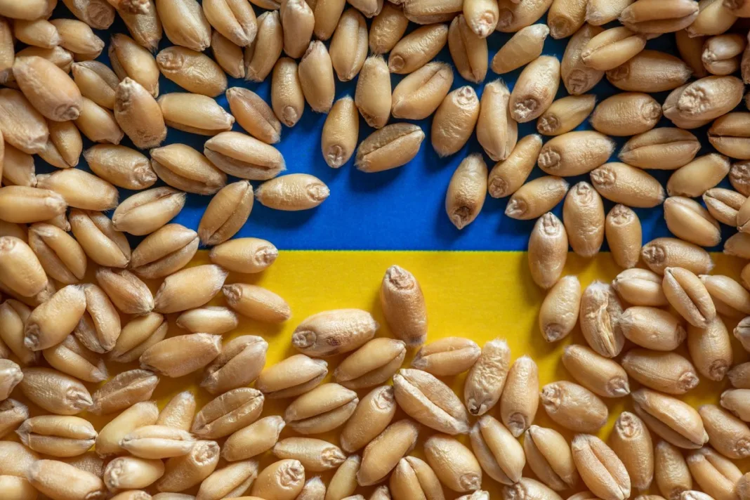 UE va controla importurile de cereale din Ucraina