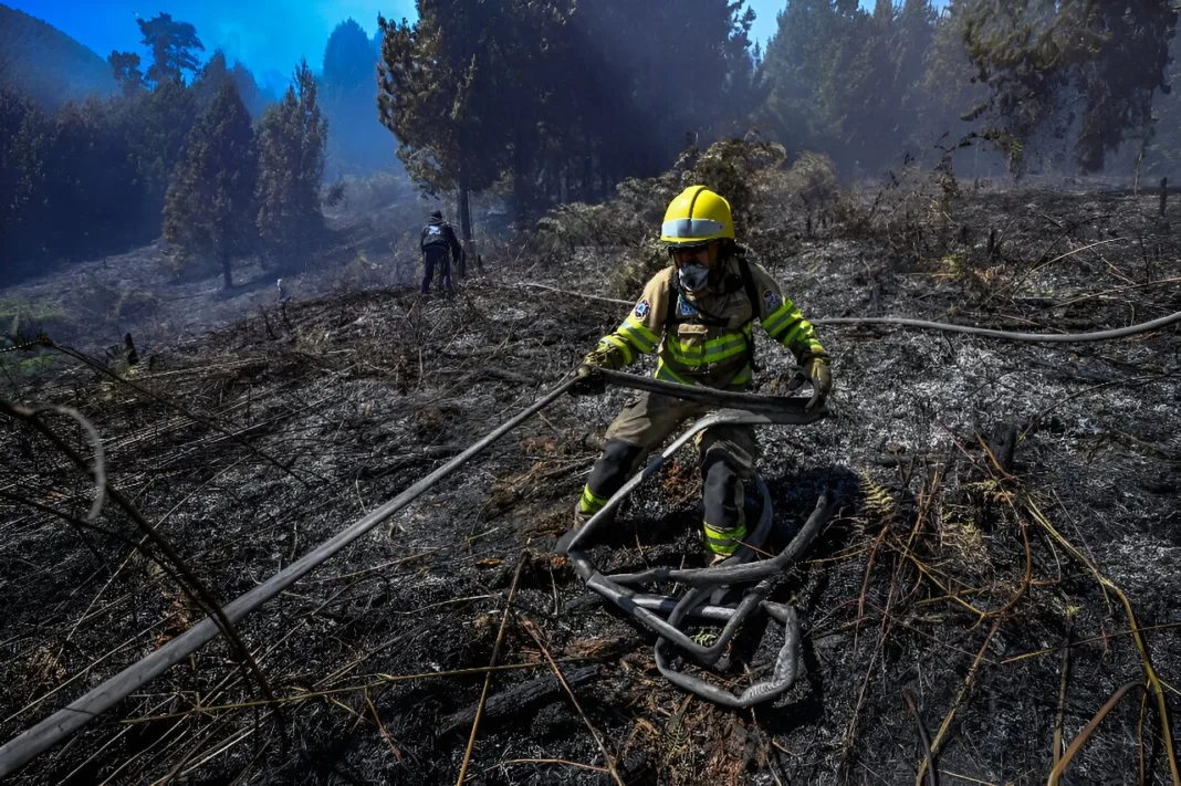 Columbia cere ajutor internaţional în lupta cu incendiile de pădure