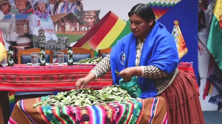 (VIDEO) Mii de bolivieni s-au adunat în mai multe oraşe pentru a mesteca frunze de coca, plantă considerată sacră