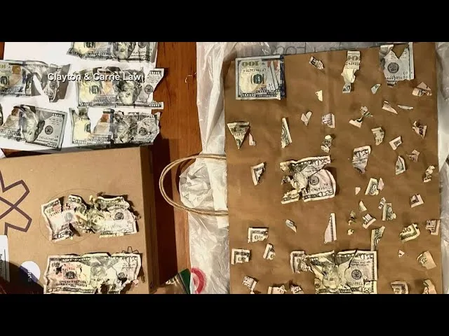 (VIDEO) Un câine a servit cea mai scumpă masă din viața lui – 4.000 de dolari în numerar
