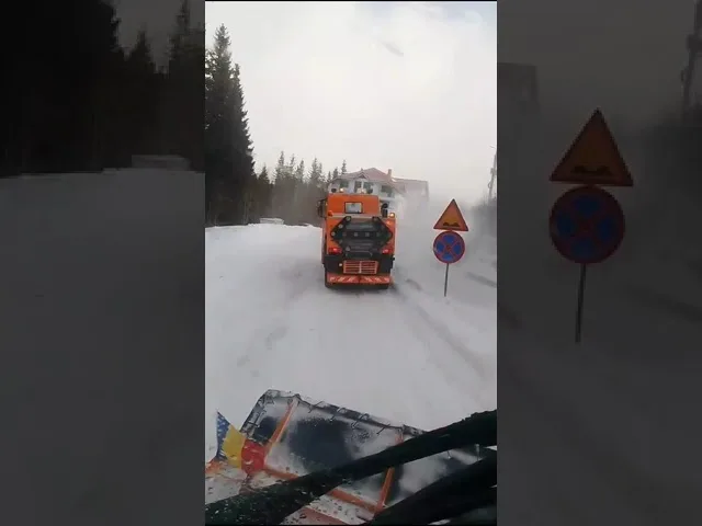 (VIDEO) Zăpadă viscolită la Rânca