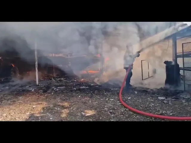 (VIDEO) Incendiu la un adăpost de animale din Tismana