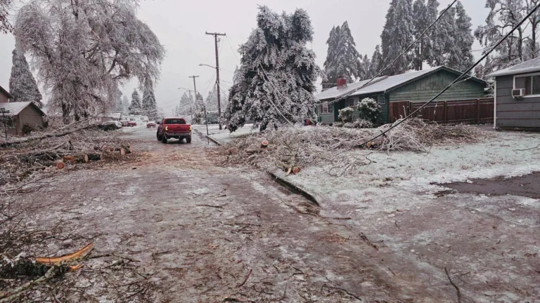 92 de morți în SUA din cauza iernii grele
