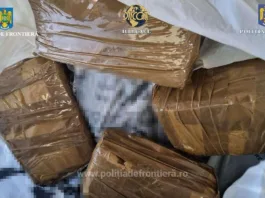 Aproape un kilogram de cocaină descoperit într-un autoturism la Giurgiu