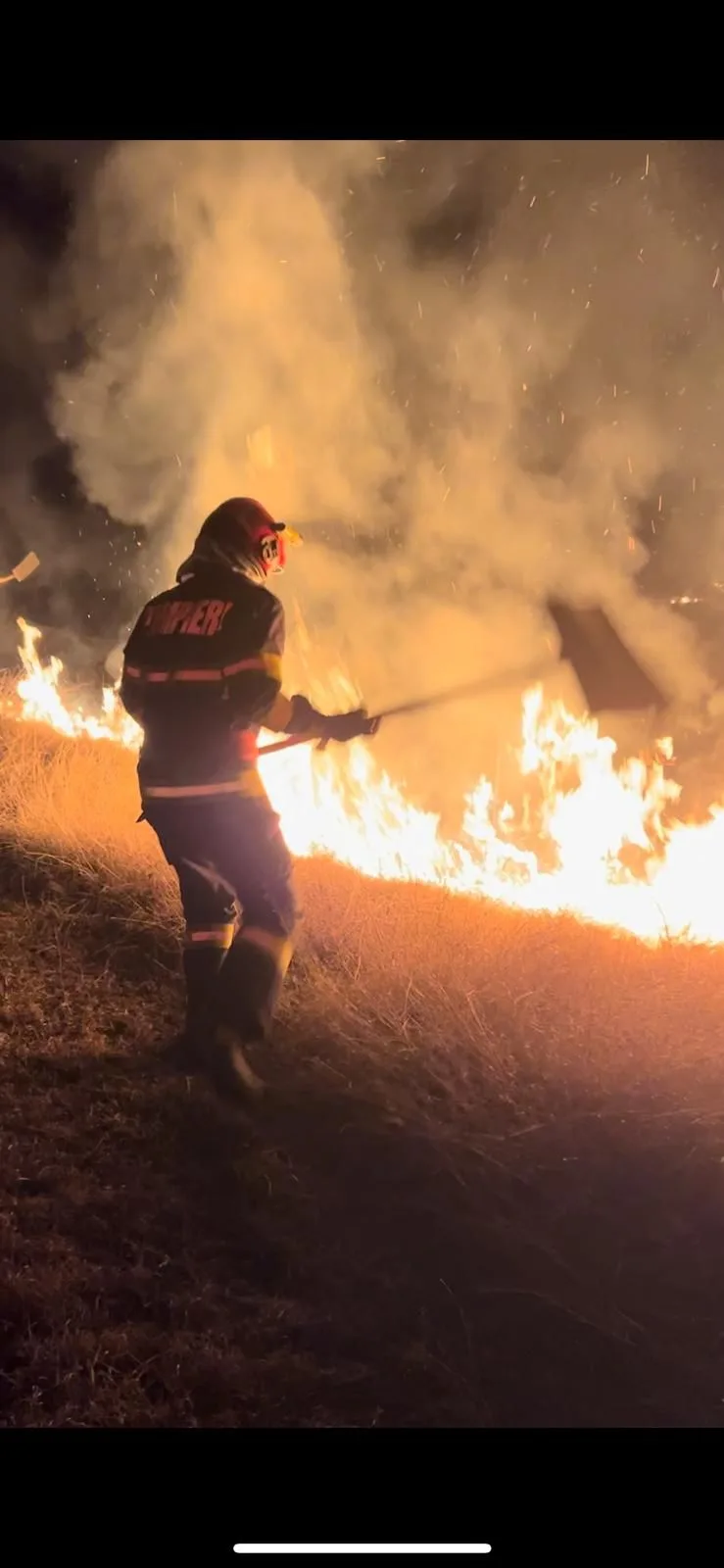 Incendii de vegetație uscată în Vâlcea