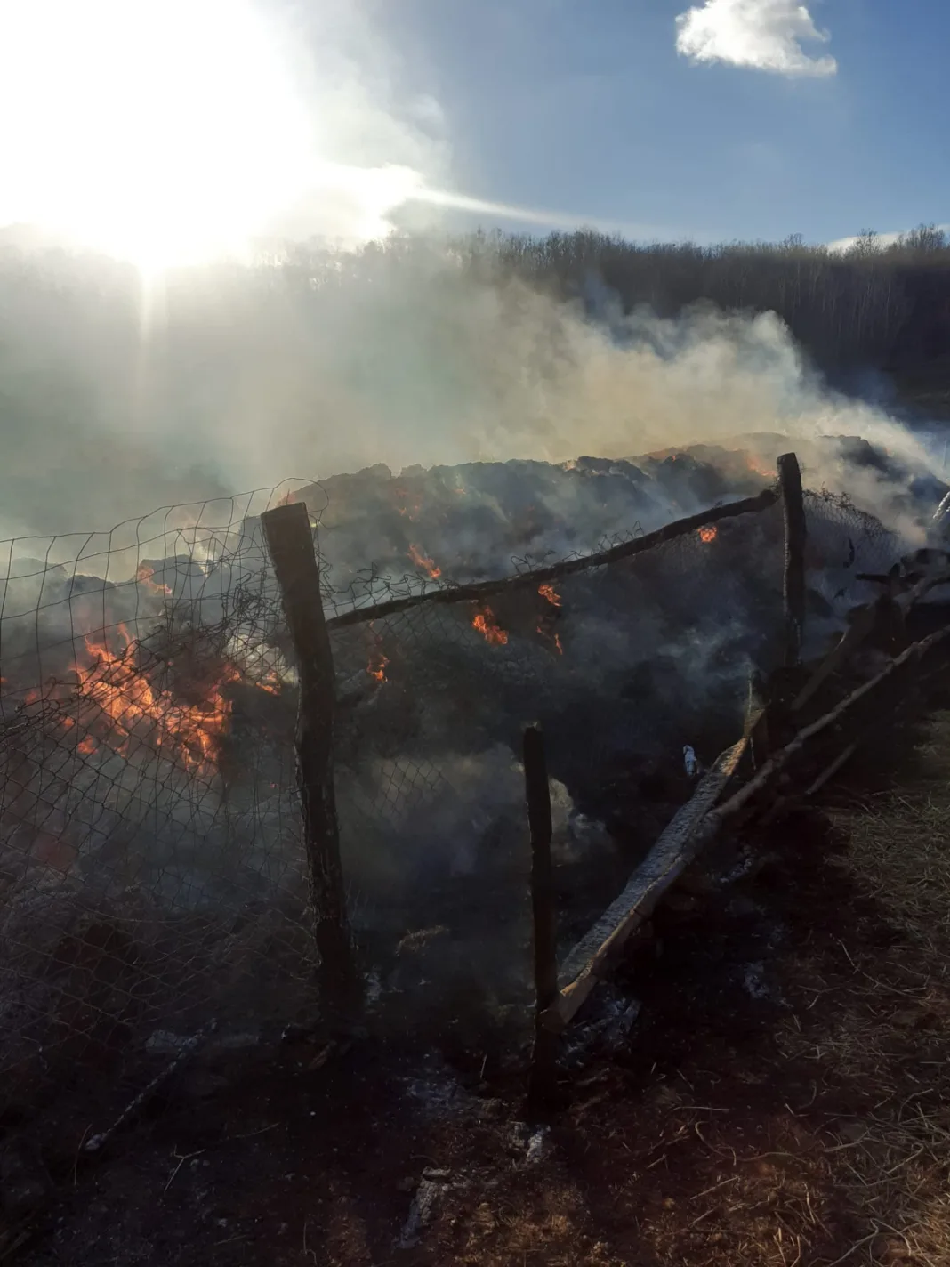 Un incendiu puternic a izbucnit la o stână din localitatea Tetoiu.