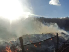 Un incendiu puternic a izbucnit la o stână din localitatea Tetoiu.