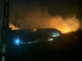 100 de hectare de vegetație au ars în județul Vâlcea