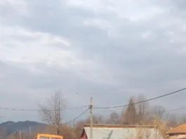 Accident rutier în localitatea Mihăești
