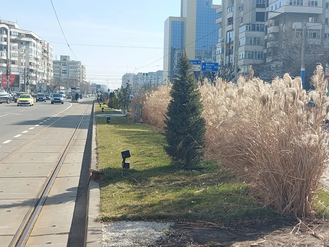 RAADPFL vrea să înfrumuseţeze spaţiile verzi şi în acest an