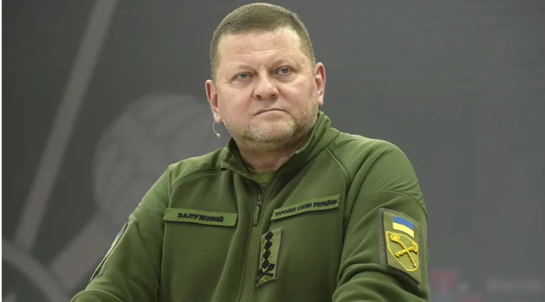Șeful armatei populare ucrainene, Valery Zalujny