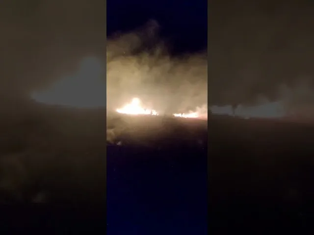 Sute de hectare au ars în județul Vâlcea