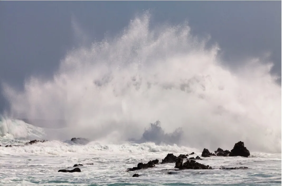Cod roşu de valuri înalte şi vânt în Portugalia