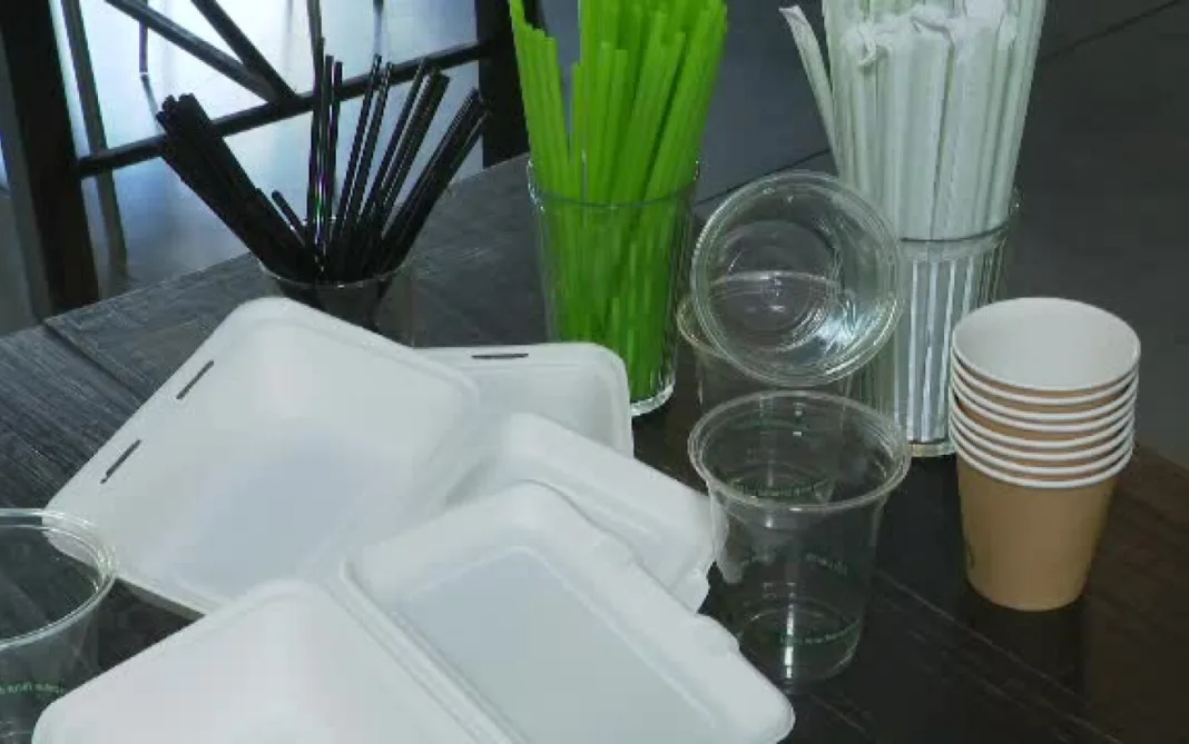 Recipientele de plastic de unică folosinţă vor fi interzise în toate barurile şi restaurantele din UE