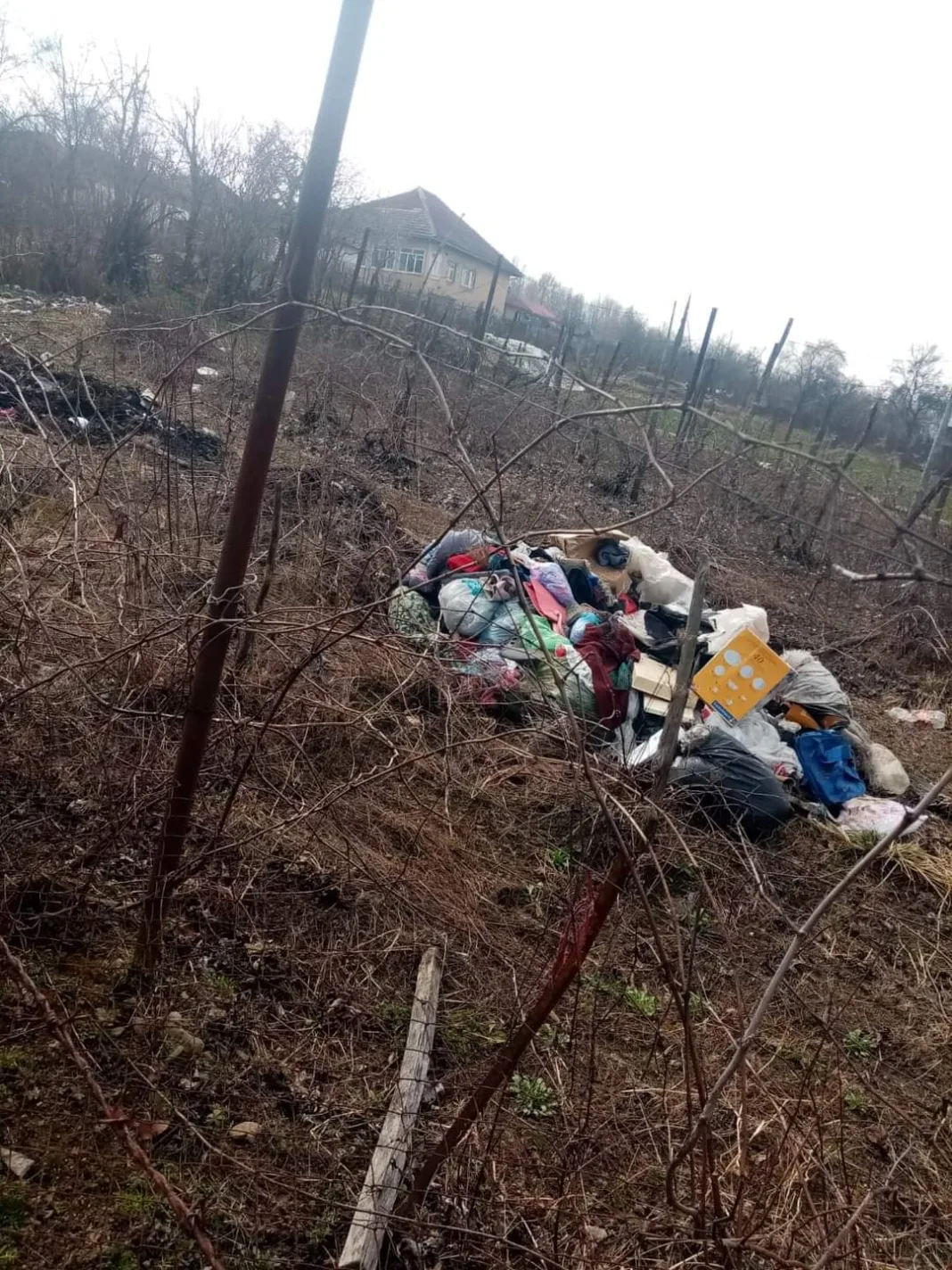 Amezi aplicate de Garda de Mediu pentru abandon de gunoaie în Tismana