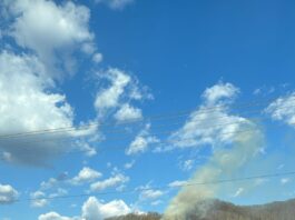 Vâlcea: Incendiu la Brezoi. Focul s-a extins la pădurea din apropiere