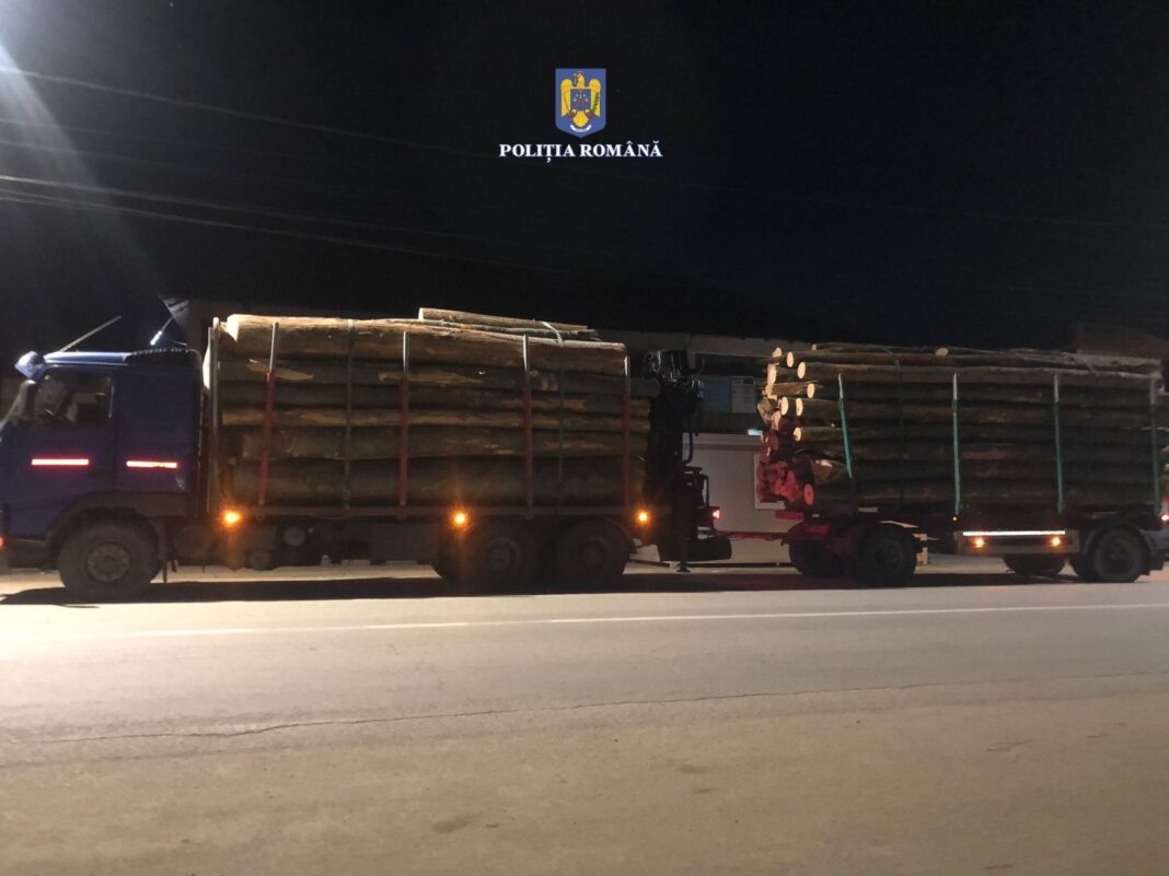 Transport ilegal de lemne, depistat de polițiștii mehedințeni