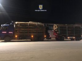 Transport ilegal de lemne, depistat de polițiștii mehedințeni