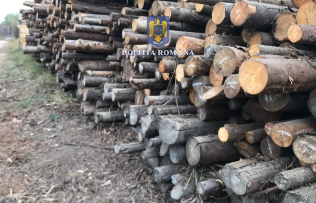 Dolj: Combaterea activităților ilicite cu materiale lemnoase