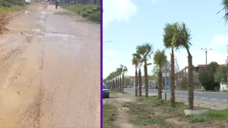 Un primar din Mehedinți, dintr-o comună fără asfalt, a pus palmieri pe marginea drumului