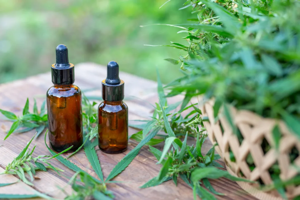 Uleiul de canabidiol – CBD, drog sau leac?