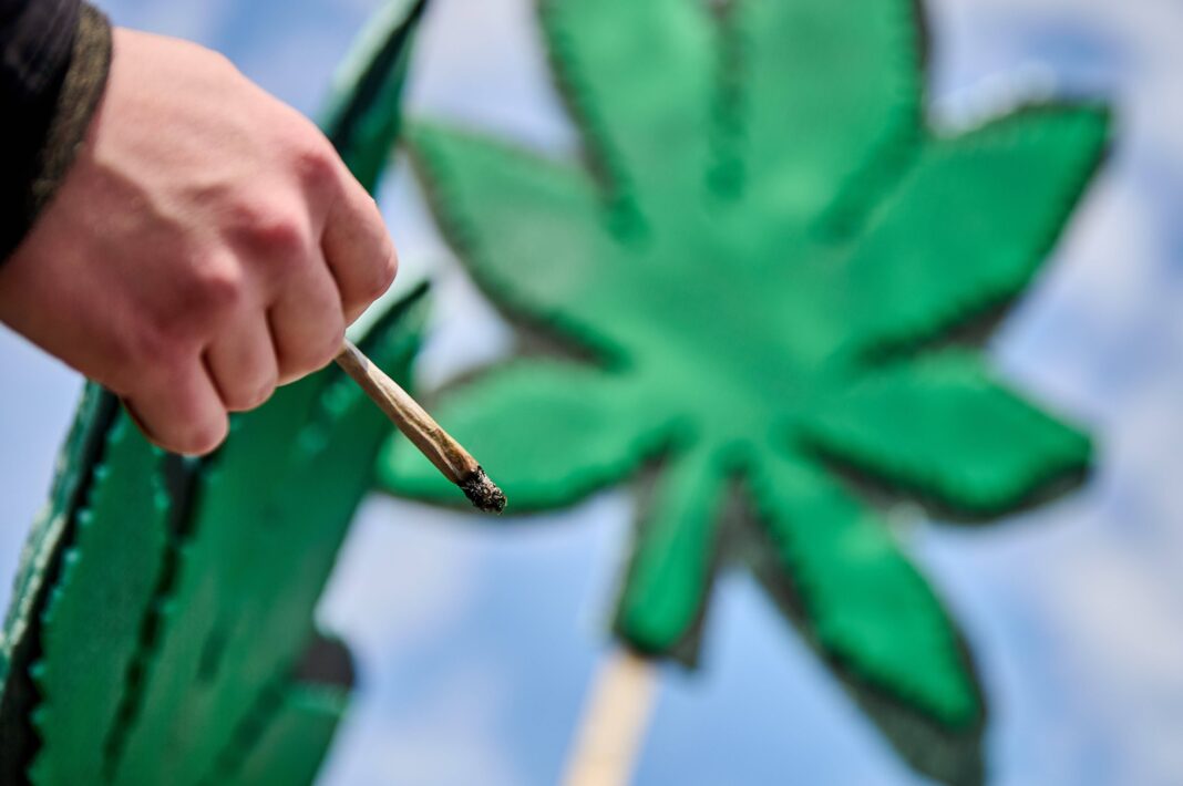 Parlamentul german, undă verde pentru legalizarea parţială a canabisului