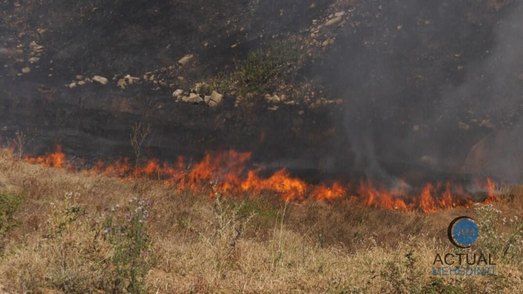 Incendii de vegetație uscată în 6 localități din Gorj